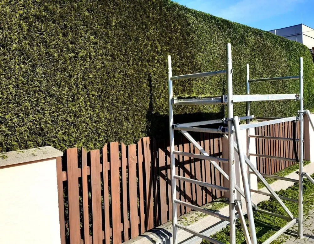 echafaudage (1)