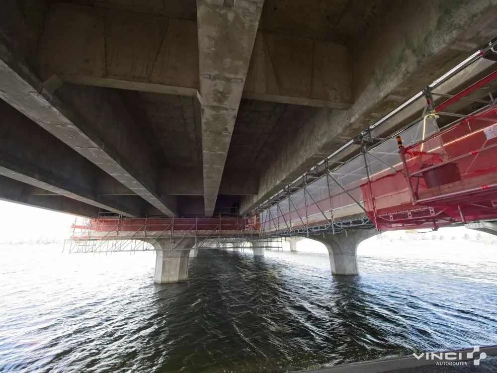 location (1)